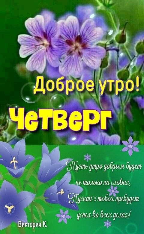 Картинки Доброе утро четверга (80 открыток). Красивые картинки Доброе утро четверга