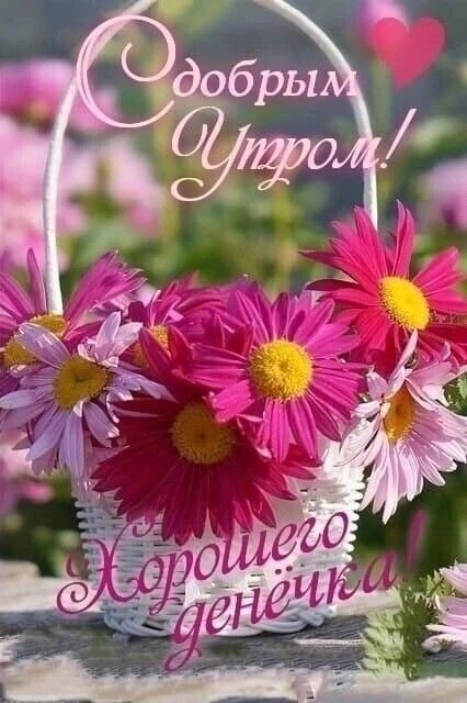 Красивые картинки "Хорошего дня" . Картинки "Хорошего дня" красивые летние