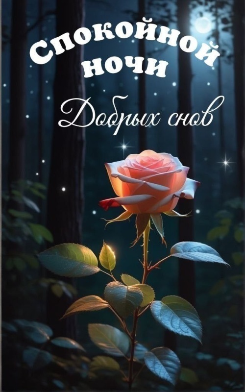 Картинки "Доброй летней ночи". Красивые открытки Доброй летней ночи с цветами