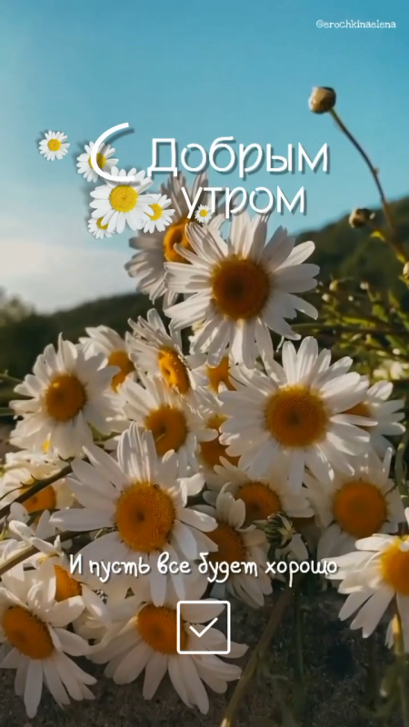 Картинки Доброе июльское утро. Красивые картинки Доброго июльского утра