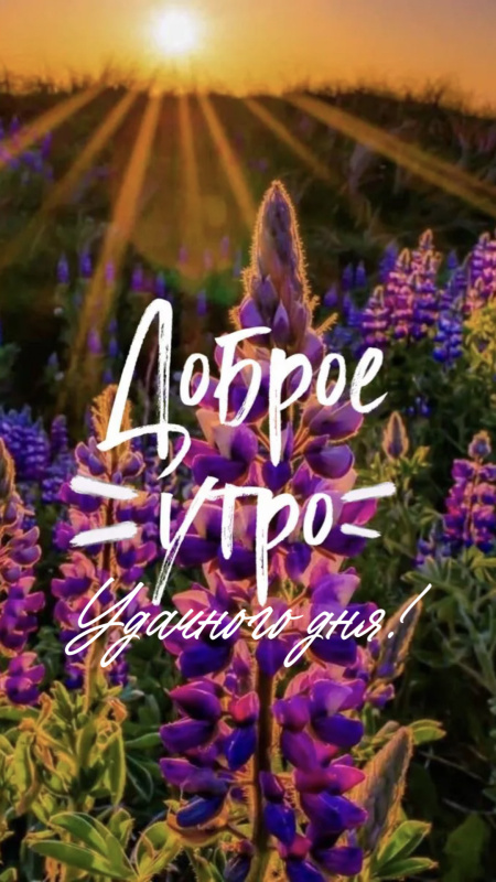 Картинки с добрым июньским утром (140 открыток). Позитивные картинки с пожеланием Доброго июньского утра