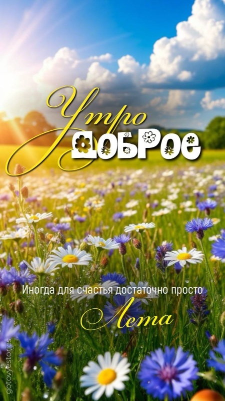 Картинки с добрым летним утром (70 открыток). Красивые картинки Доброе летнее утро