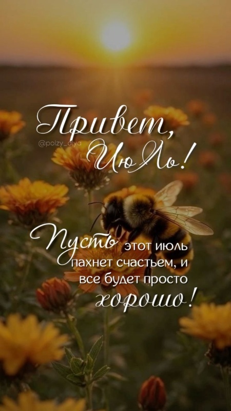 Картинки Доброе июльское утро. Красивые картинки Доброго июльского утра