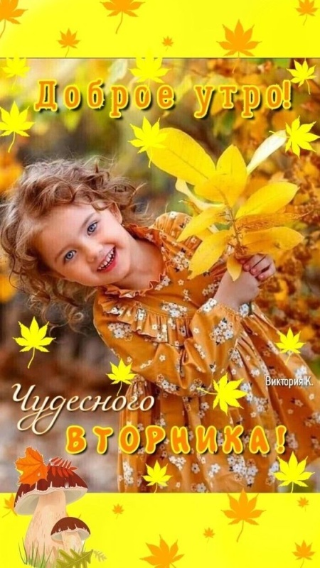 Открытки с Добрым утром понедельника (80 картинок). Прикольные картинки с добрым утром понедельника