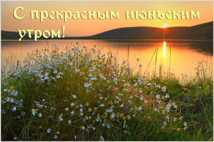 Картинки с добрым июньским утром (140 открыток). Позитивные картинки с пожеланием Доброго июньского утра