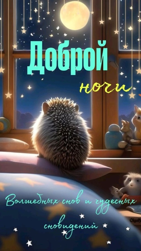 Картинки Доброй ночи красивые и прикольные. Красивые картинки Доброй ночи