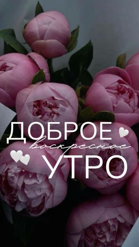 Картинки Доброе утро воскресенья (90 открыток). Картинки "Доброе утро воскресенья" красивые и новые