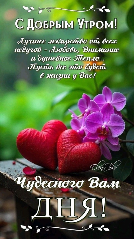 Красивые картинки "Хорошего дня" . Красивые картинки Хорошего дня и Доброго утра 