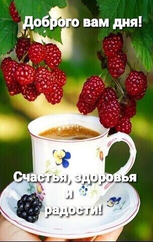 Красивые картинки "Хорошего дня" . Картинки "Хорошего дня" красивые летние