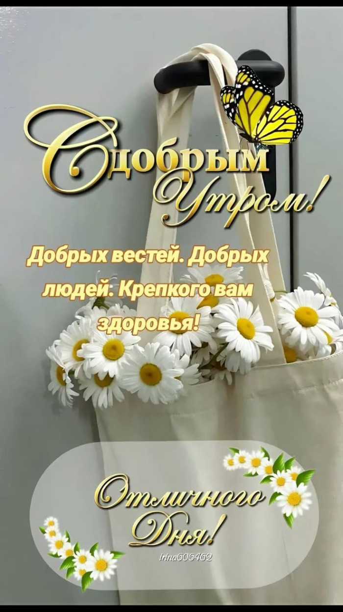 Картинки с добрым летним утром (70 открыток). Доброе летнее утро - картинки с пожеланиями