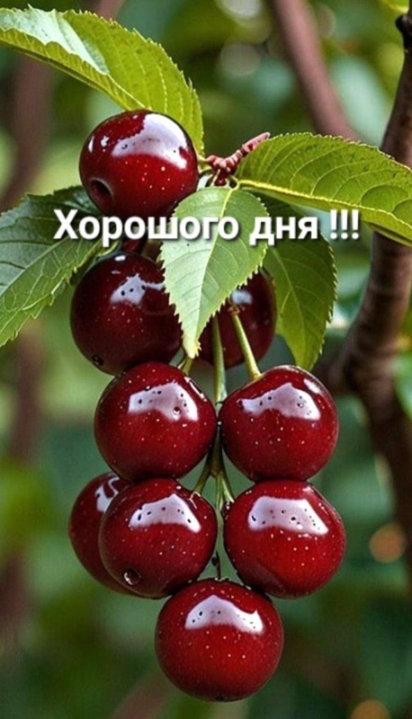 Красивые картинки "Хорошего дня" . Картинки Хорошего и доброго дня