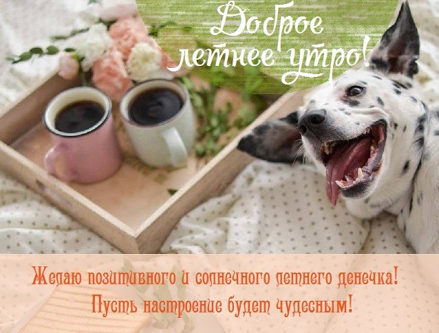 Картинки с добрым летним утром (195 открыток). Позитивные картинки с пожеланием Доброго летнего утра