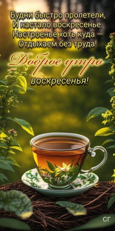Открытки с Добрым утром понедельника (80 картинок). Картинки Доброе утро понедельника (красивые и новые)