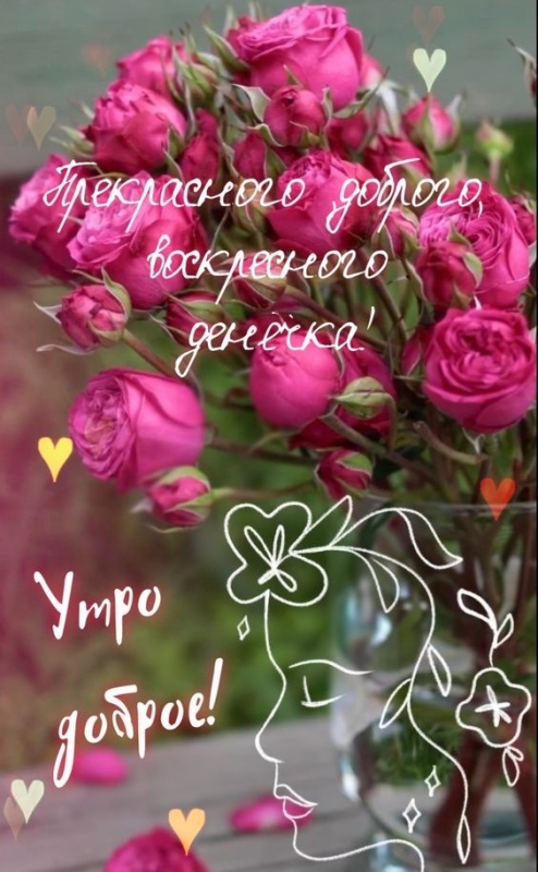 Картинки Доброе утро воскресенья (90 открыток). Картинки "Доброе утро воскресенья" красивые и новые