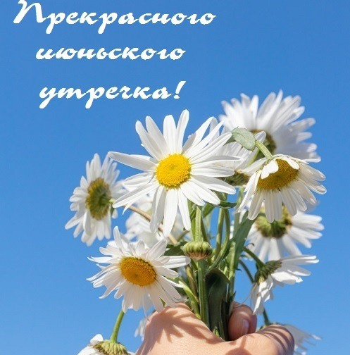 Картинки с добрым июньским утром (140 открыток). Доброе утро июня: картинки с надписями