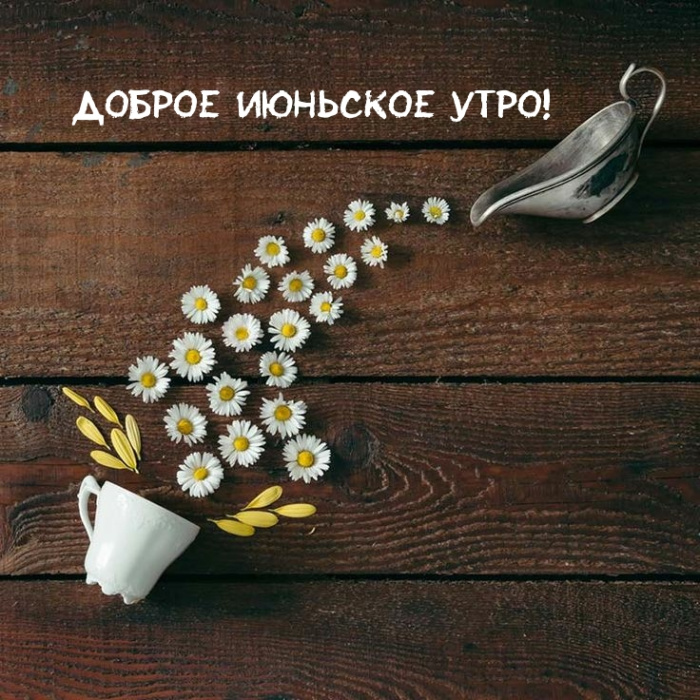 Картинки с добрым июньским утром (140 открыток). Доброе утро июня: картинки с надписями