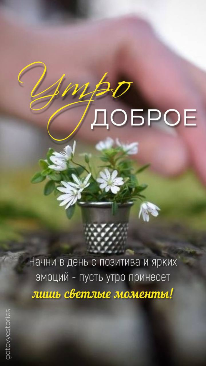 Картинки с добрым летним утром (70 открыток). Позитивные картинки Доброе летнее утро
