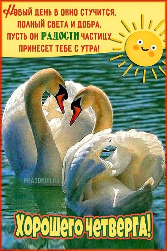 Картинки Доброе утро четверга (80 открыток). Красивые картинки Доброе утро четверга