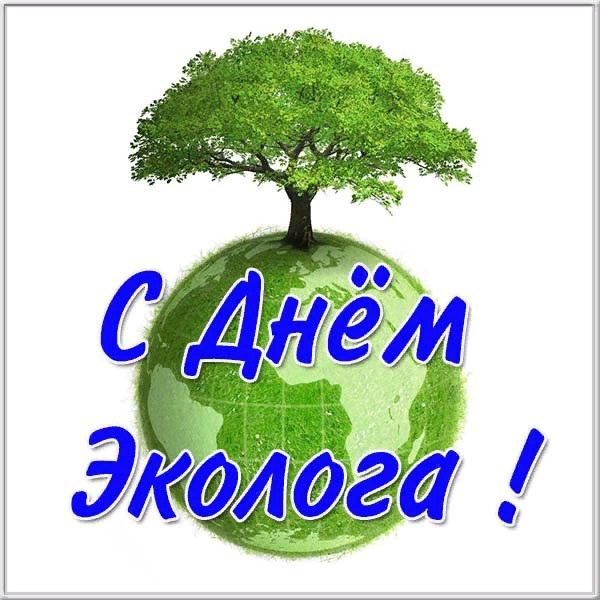 Картинки с Днем эколога (60 открыток). Красивые картинки с Днем эколога
