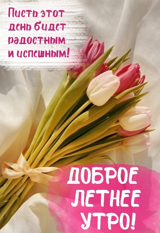 Картинки с добрым летним утром (195 открыток). Позитивные картинки с пожеланием Доброго летнего утра