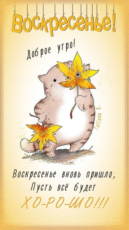 Картинки Доброе утро воскресенья (90 открыток). Прикольные картинки Доброе утро воскресенья