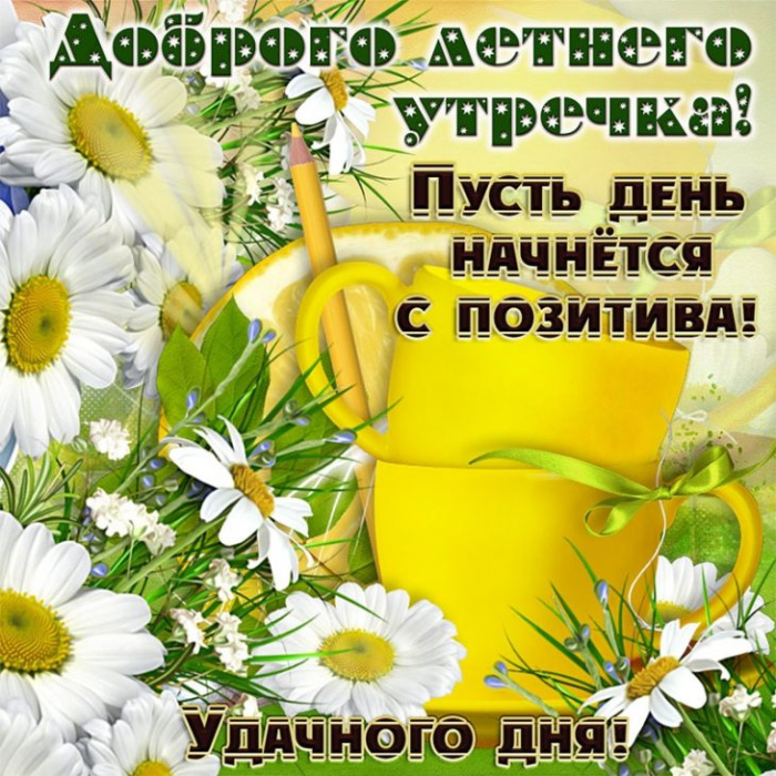 Картинки с добрым летним утром (195 открыток). Доброе летнее утро: картинки с надписями
