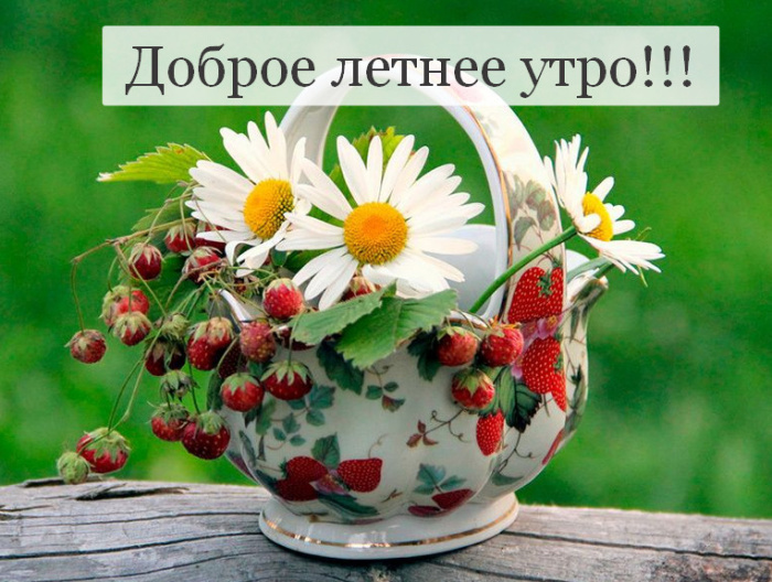 Картинки с добрым летним утром (195 открыток). Доброе летнее утро: картинки с надписями