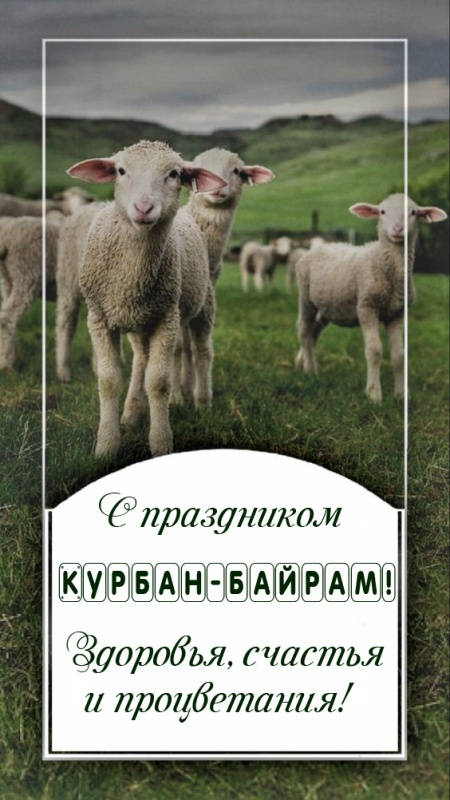 Картинки с праздником Курбан Байрам (330 открыток). Курбан-байрам: картинки с поздравлениями