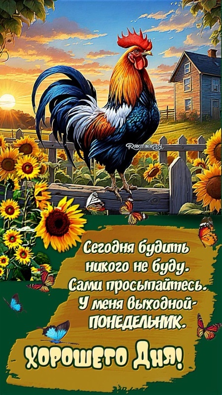 Красивые картинки "Хорошего дня" . Картинки "Хорошего дня" красивые летние