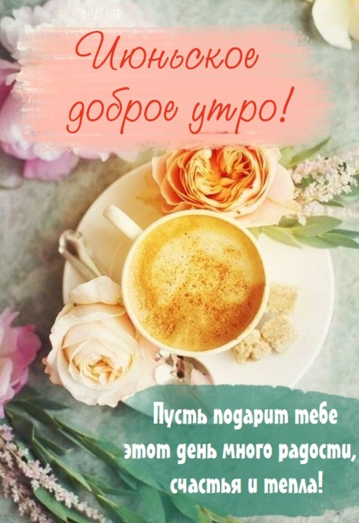 Картинки с добрым июньским утром (140 открыток). Доброе утро июня: картинки с надписями