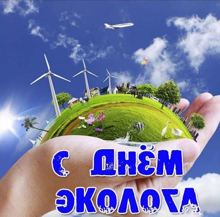 Картинки с Днем эколога (60 открыток). Красивые картинки с Днем эколога