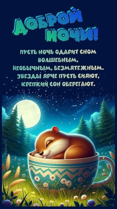Картинки Спокойной ночи красивые, летние, прикольные. 