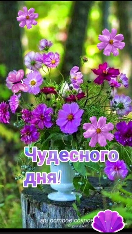 Красивые картинки "Хорошего дня" . Картинки "Хорошего дня" красивые летние