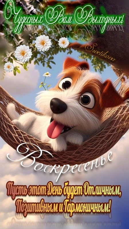 Картинки Доброе утро воскресенья (90 открыток). Прикольные картинки Доброе утро воскресенья