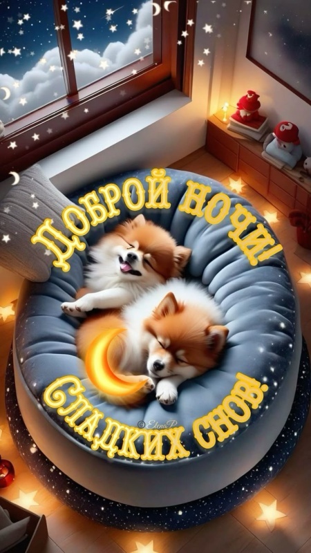 Картинки Доброй ночи красивые и прикольные. Красивые картинки Доброй ночи