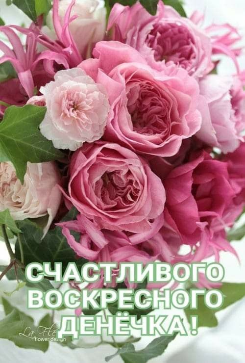Картинки Доброе утро воскресенья (90 открыток). Картинки с надписью "Доброе утро воскресенья"