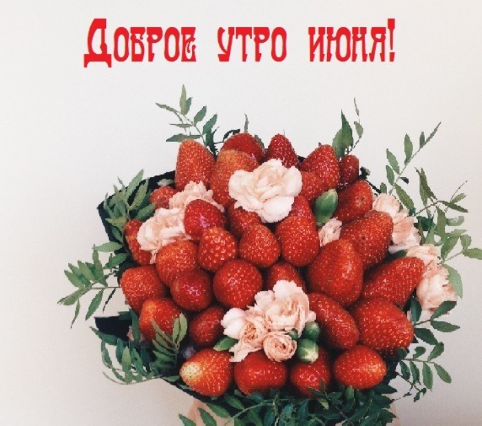 Картинки с добрым июньским утром (140 открыток). Доброе утро июня: картинки с надписями