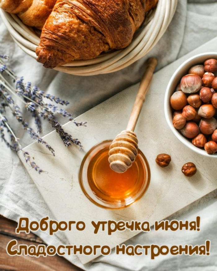 Картинки с добрым июньским утром (140 открыток). Позитивные картинки с пожеланием Доброго июньского утра