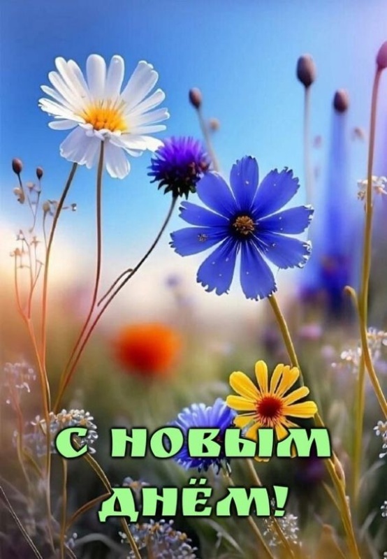 Красивые картинки "Хорошего дня" . Картинки "Хорошего дня" красивые летние
