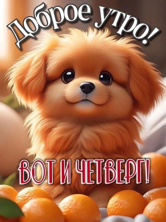 Картинки Доброе утро четверга (80 открыток). Позитивные картинки Доброе утро четверга