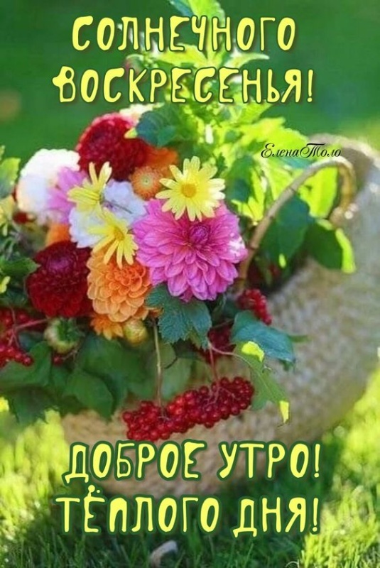Картинки Доброе утро воскресенья (90 открыток). Картинки с надписью "Доброе утро воскресенья"