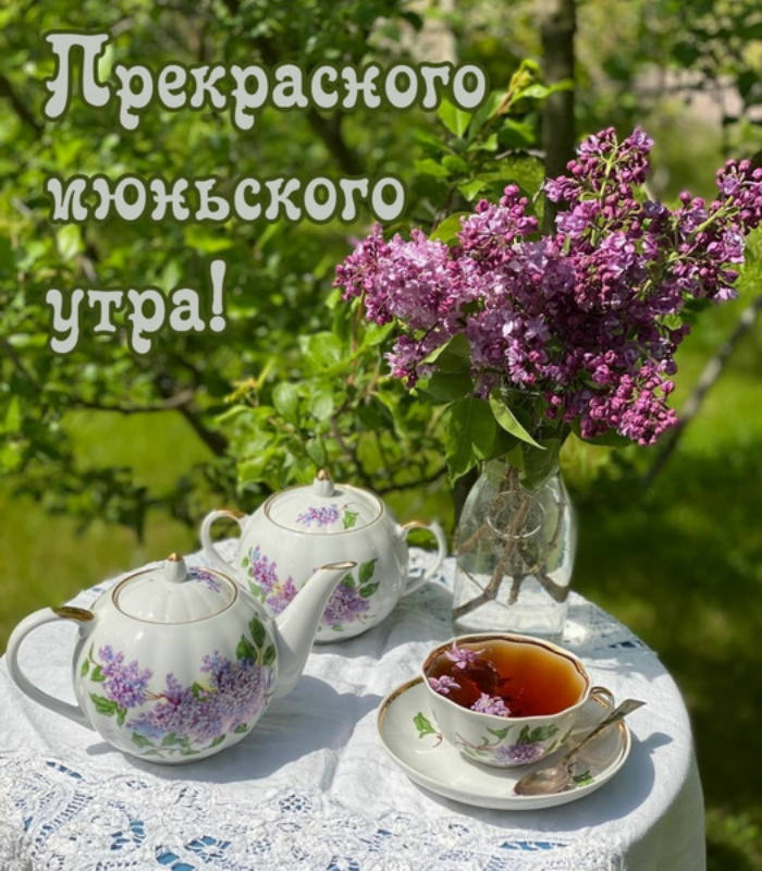 Картинки с добрым июньским утром (140 открыток). Позитивные картинки с пожеланием Доброго июньского утра