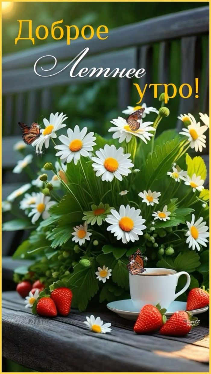 Картинки с добрым летним утром (70 открыток). Красивые картинки Доброе летнее утро