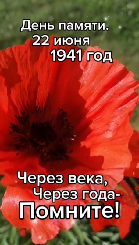 Картинки с Днем памяти и скорби (70 открыток). Красивые картинки на День памяти и скорби