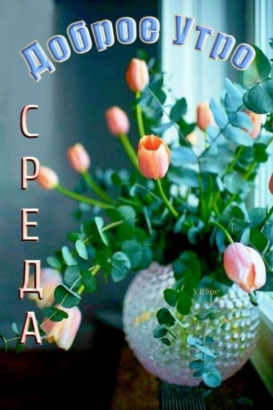 Картинки Доброе утро среды (90 открыток). Доброе утро среды - картинки с пожеланиями
