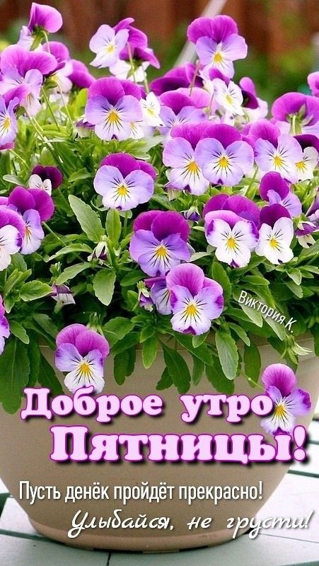 Картинки Доброе утро пятницы. Красивые картинки Доброе утро пятницы