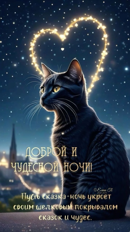 Картинки Доброй ночи красивые и прикольные. Красивые картинки Доброй ночи