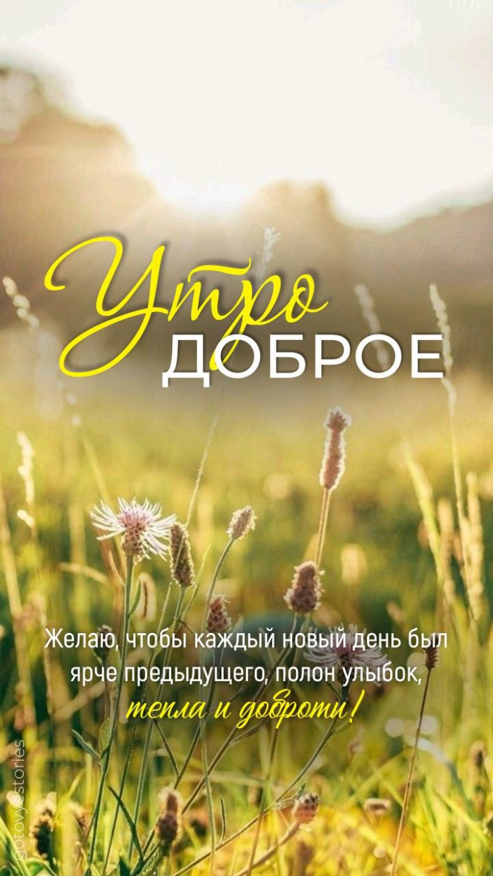 Картинки с добрым летним утром (70 открыток). Доброе летнее утро - картинки с пожеланиями