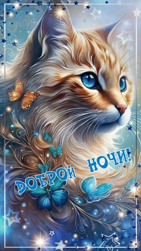 Картинки Доброй ночи красивые и прикольные. Красивые картинки Доброй ночи