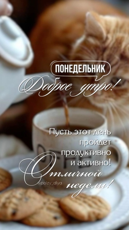 Открытки с Добрым утром понедельника (80 картинок). Доброе утро понедельника - красивые картинки с кофе